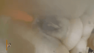 خودارضایی تهمینه میلف عینکی روستایی با هویج