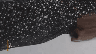 بدن نمایی و خودارضایی لیدا خانم با آه و ناله