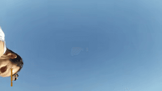 سکس ناصر خان پشت وانت