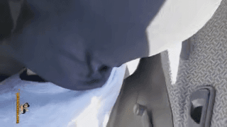 فتیش لیسیدن پا تو ماشین