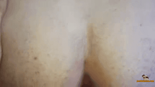 سکس داگی نگین رو تخت